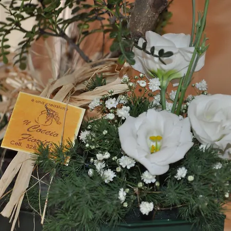 7 Contrade Panzió 4*